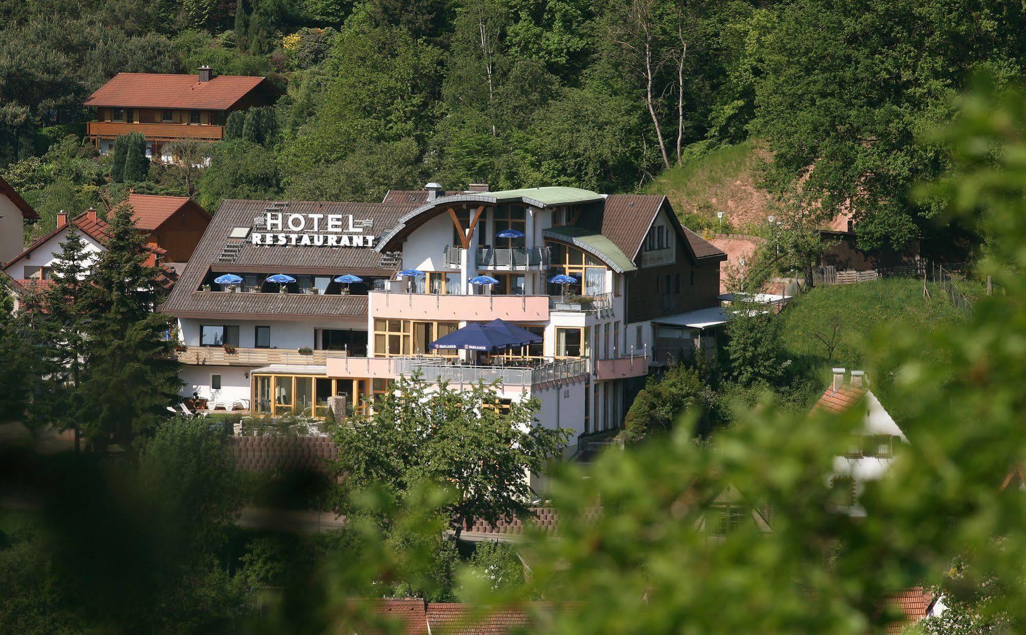 Hotel Am Hirschhorn - Wellness - Spa - And More Wilgartswiesen Exterior foto